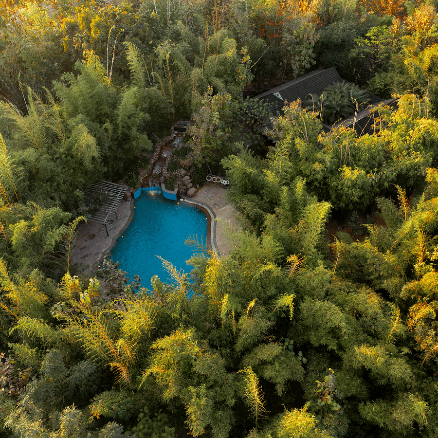 Tendu Leaf Jungle Resort 2025-15