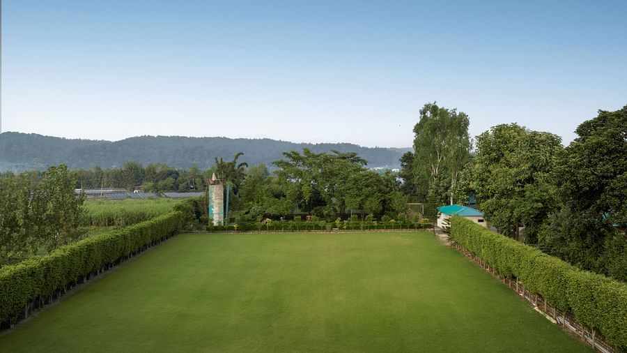 Wedding Lawns