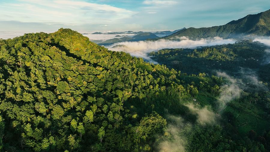 A wide view of mountains during the day | Celestial Hills, Kandy