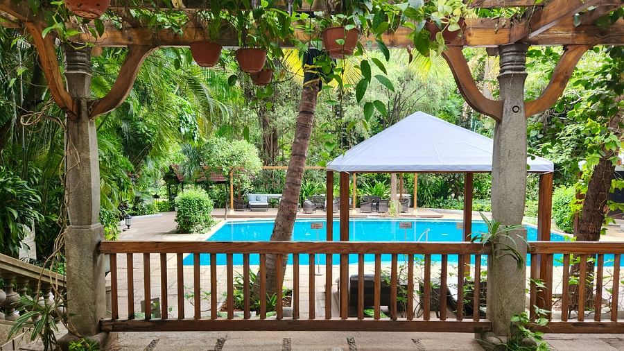 A pool with trees around