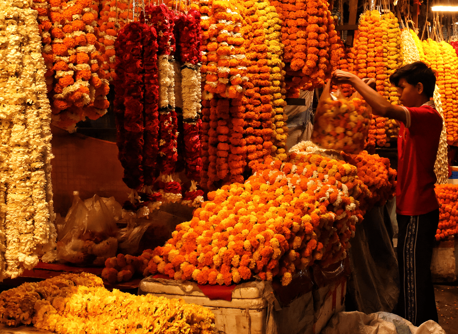 pexels-sruthik-koneti-774908924-38496289