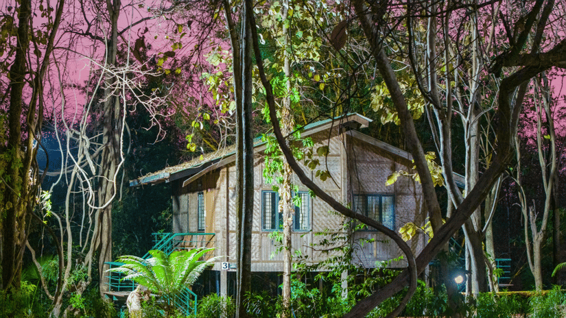Cottage nestled among tall trees, illuminated by outdoor lighting against a deep pink-purple twilight sky, with lush ferns and tropical foliage in the foreground.