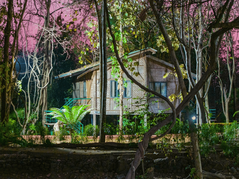 Cottage nestled among tall trees, illuminated by outdoor lighting against a deep pink-purple twilight sky, with lush ferns and tropical foliage in the foreground.
