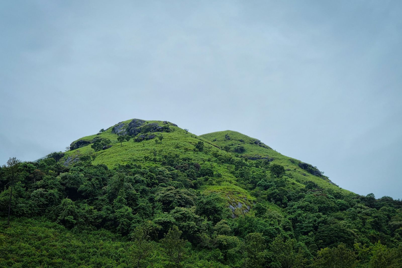 An overview of a hill covered by many shades of greenery with clear sky in the background.