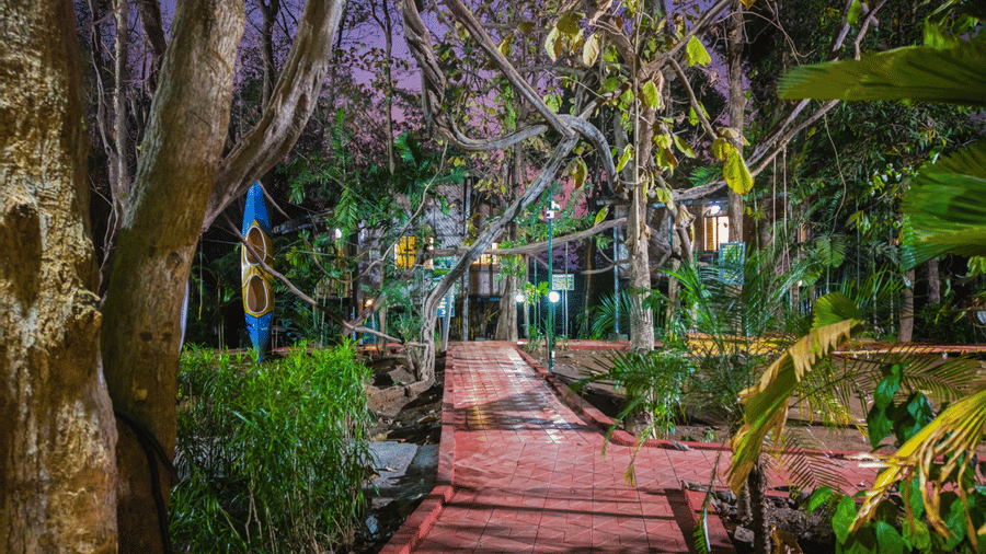 Scenic red brick pathway winding through a lush green forest at NatureTrails