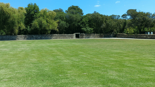 A wide-angle shot of a large, well-maintained green sports field or lawn, bordered by trees under a clear blue sky.