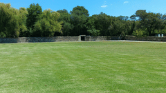A wide-angle shot of a large, well-maintained green sports field or lawn, bordered by trees under a clear blue sky.