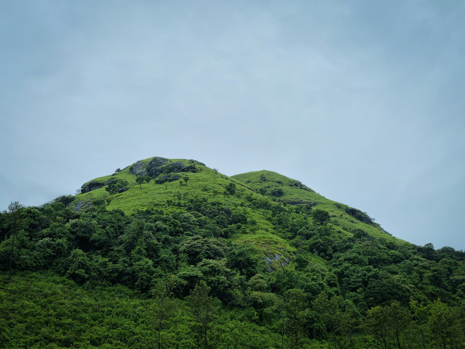 A hill covered by lush trees under a gloomy weather with a clear sky in the background