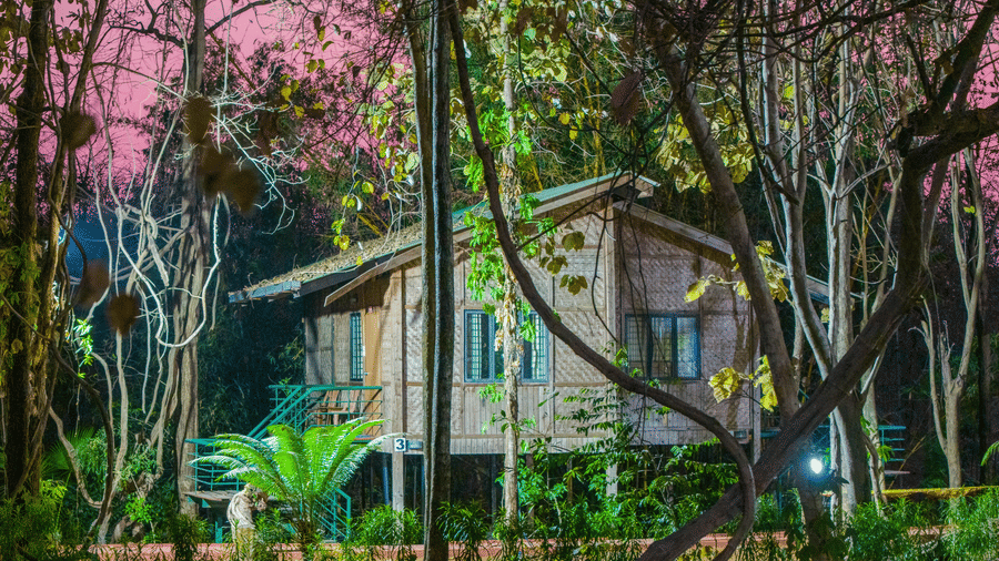 Night-time exterior view of Nature Trails Sajan resort cabin nestled among tall trees with pink-toned sky, lush foliage, and warm lit structure.