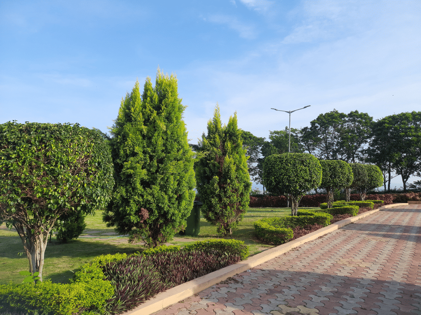 Landscaped garden featuring trimmed shrubs, manicured lawns, and a paved pathway under a clear blue sky.