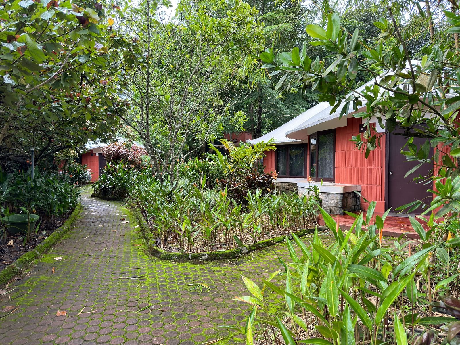 pathways leading to cottages covered in greenery - Kadkani River Resort, Coorg