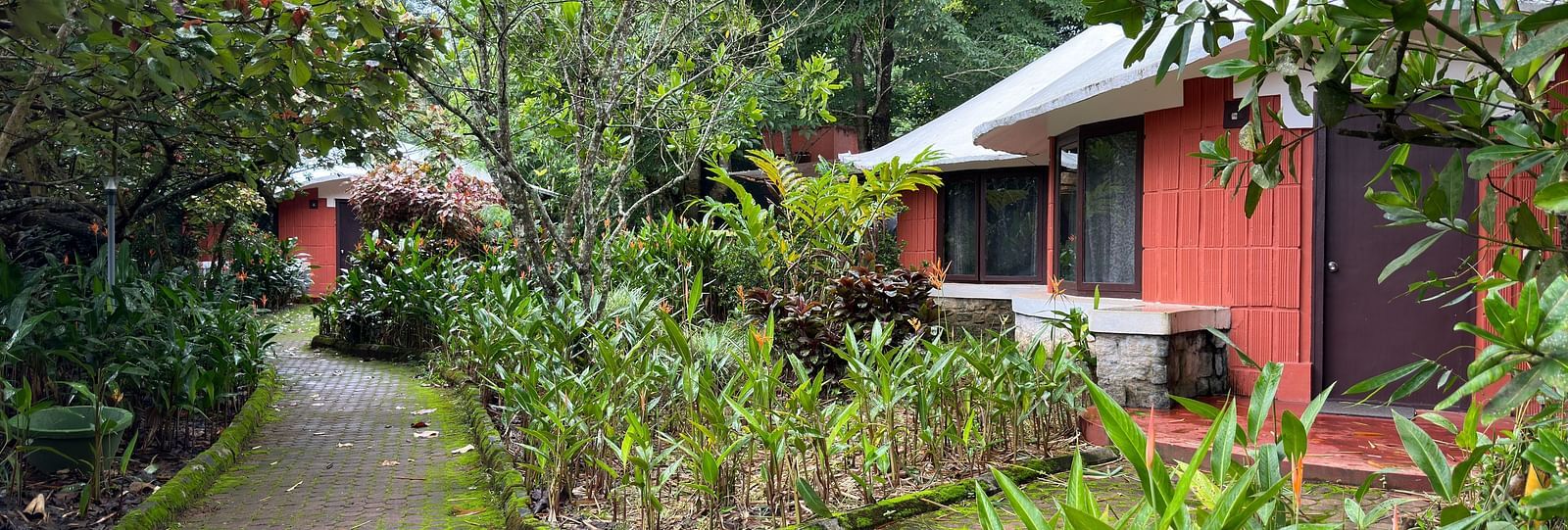 pathways leading to cottages covered in greenery - Kadkani River Resort, Coorg