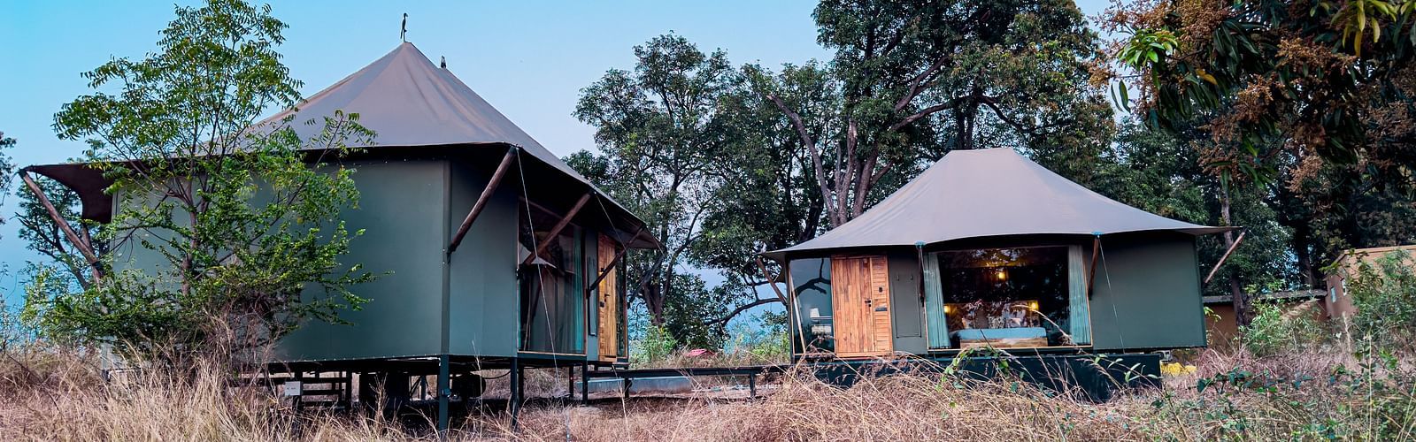 Facade view of the twin tents surrounded by greenery at Trees N Tigers, Tadoba.