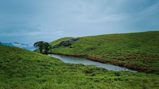 a stream between two lush green fields