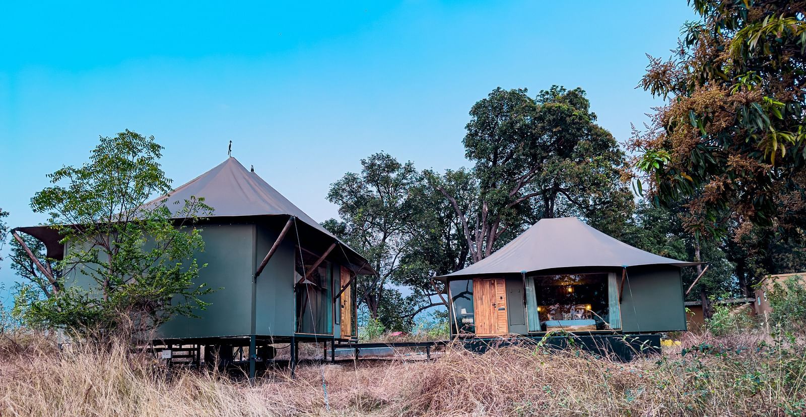 Facade view of the twin tents surrounded by greenery at Trees N Tigers, Tadoba.