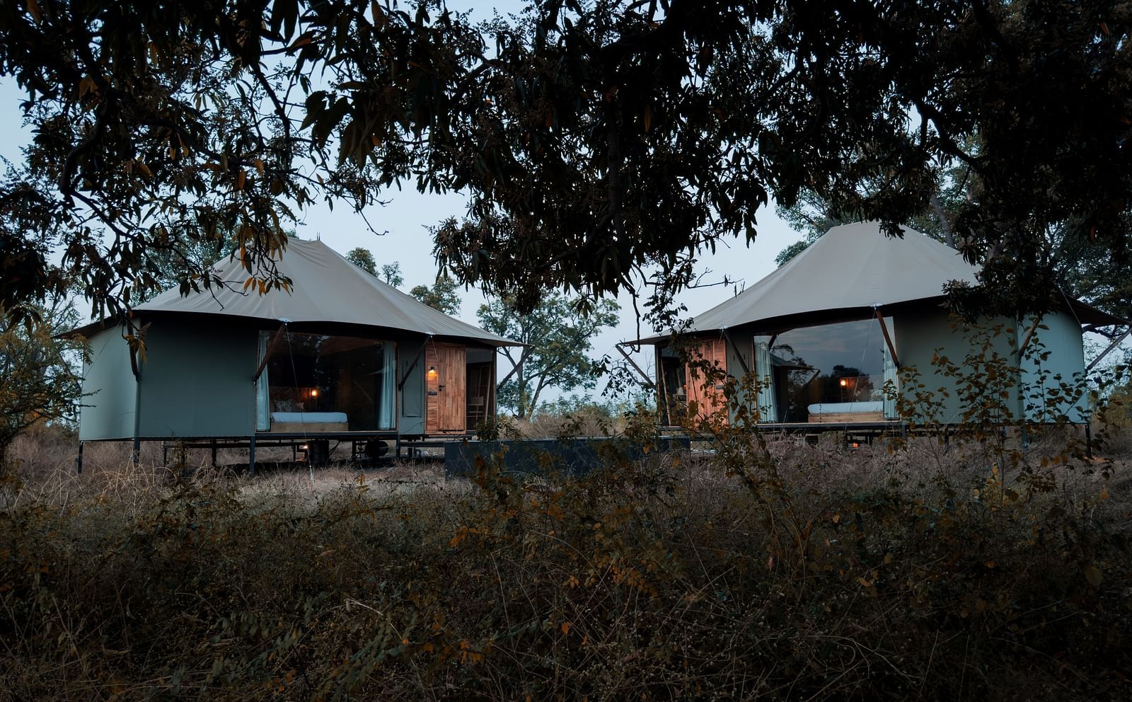 A far out view of Twin Tents surrounded by greenery at Trees N Tigers, Tadoba.
