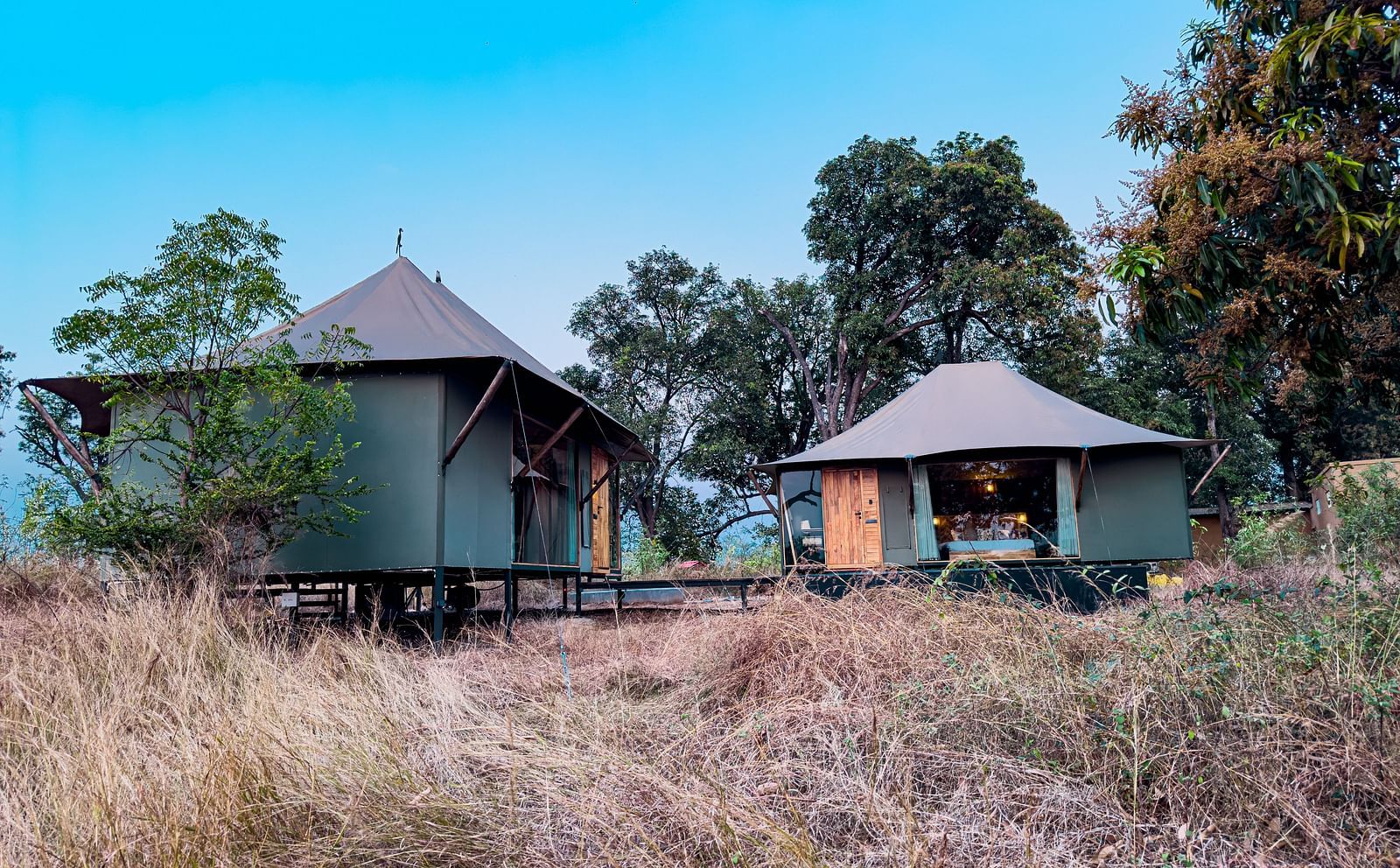 Facade view of the twin tents surrounded by greenery at Trees N Tigers, Tadoba.