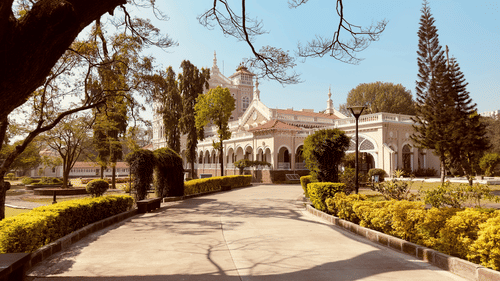 A pathway lined with grass, trees, and a white building at the end, with shadows cast on the ground.