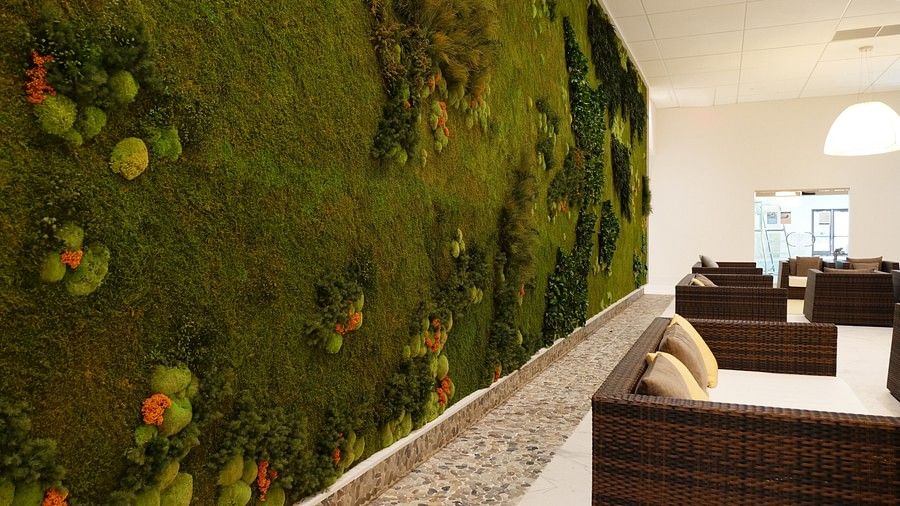 Living Green Wall