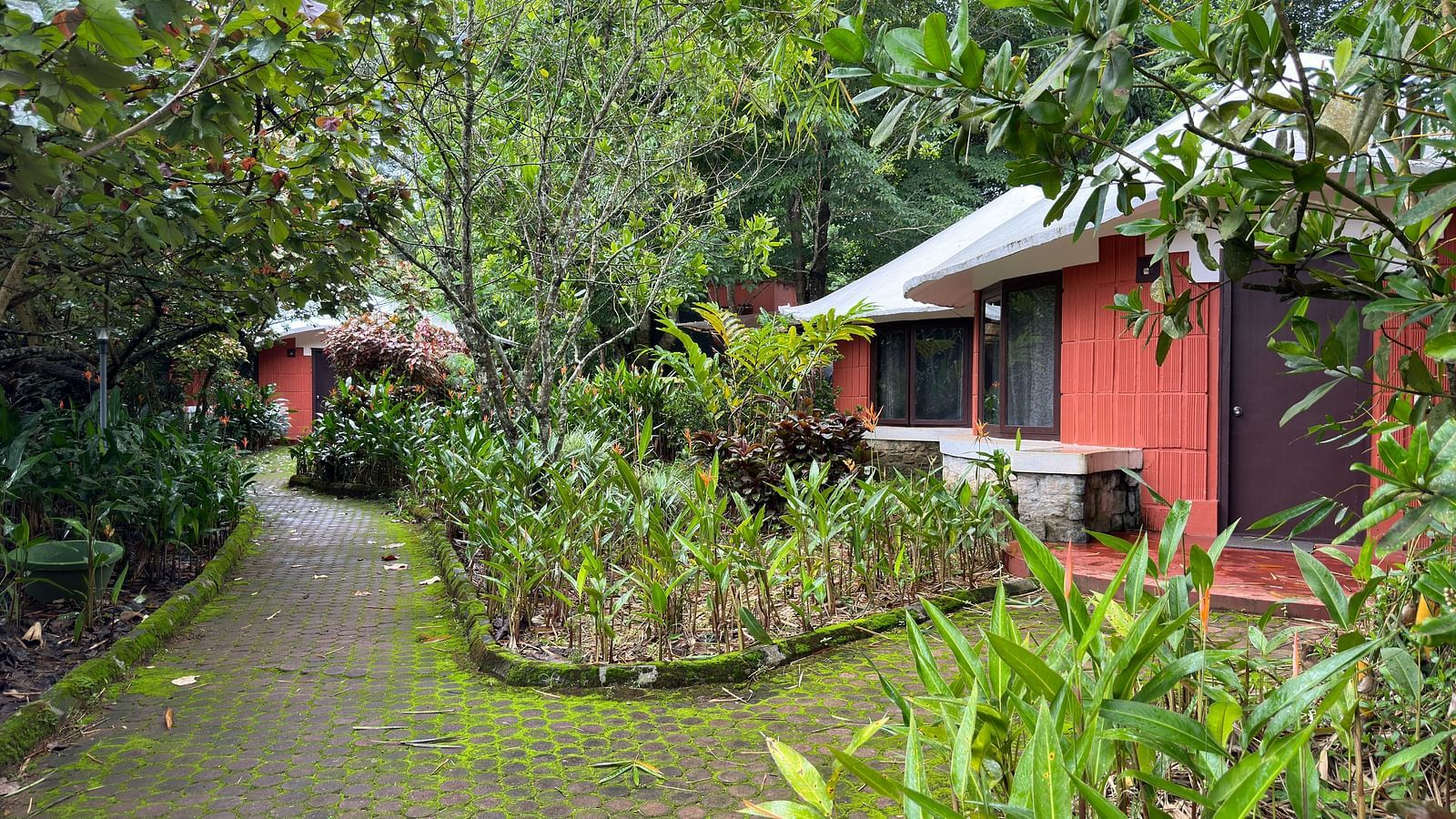 pathways leading to cottages covered in greenery - Kadkani River Resort, Coorg