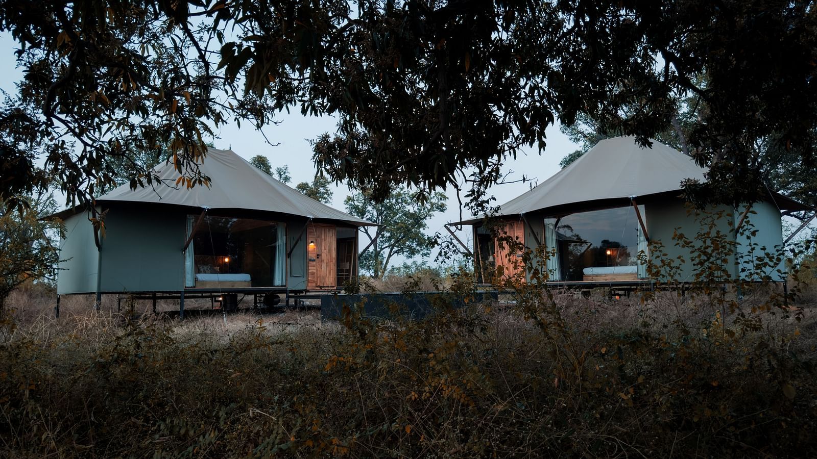 A far out view of Twin Tents surrounded by greenery at Trees N Tigers, Tadoba.