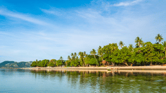 A river with a green landscape and palm trees along the shoreline under a clear sky.
