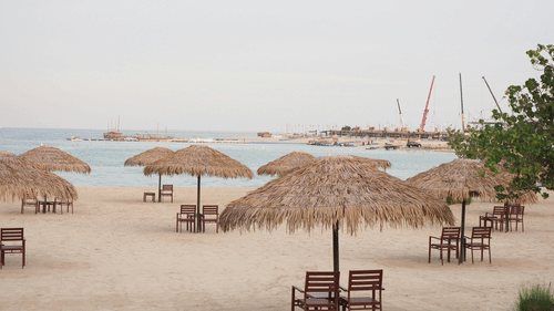 Sandy beach with straw umbrellas and chairs facing the sea.