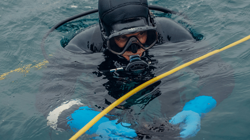 A diver wearing full scuba gear, including a mask and blue gloves, is partially submerged in choppy water with a yellow safety line nearby.