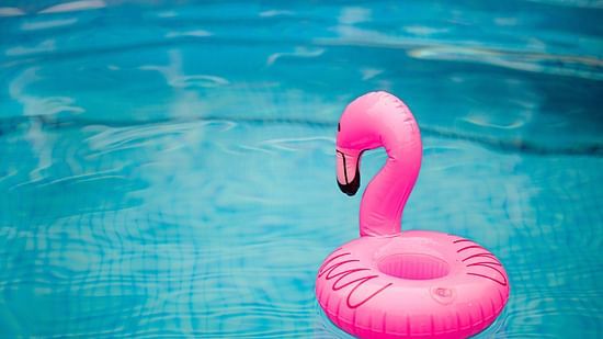 toy flamingo kept inside swimming pool