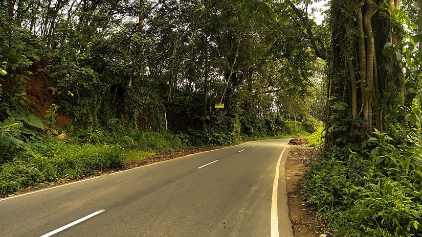 A close up of a single lane highway in Kerala that surrounded by trees and shrubs. - Madurai to Thekkady