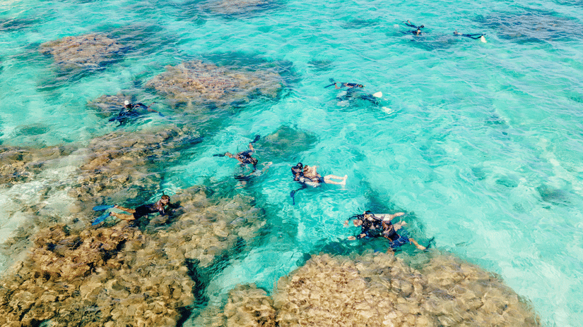 An aerial view shows several snorkelers swimming over a vibrant coral reef in clear, shallow water.
