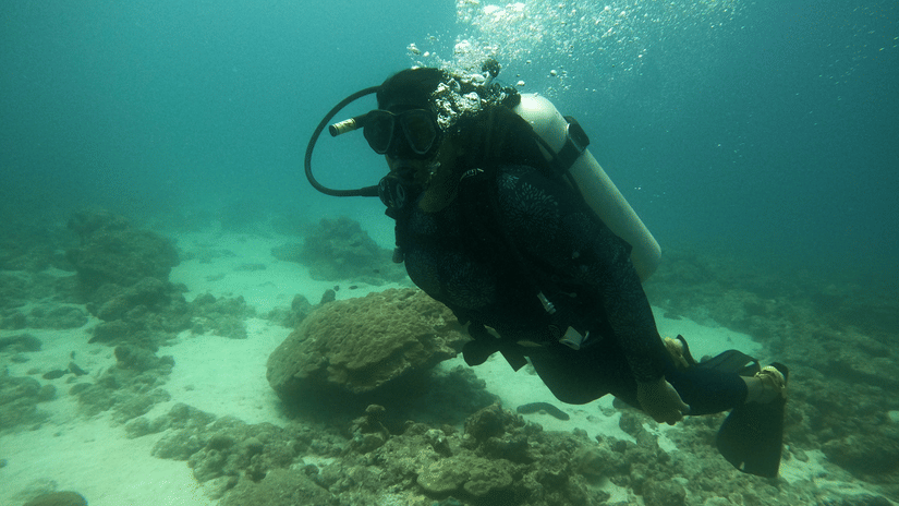 A person scuba diving with reef in the background