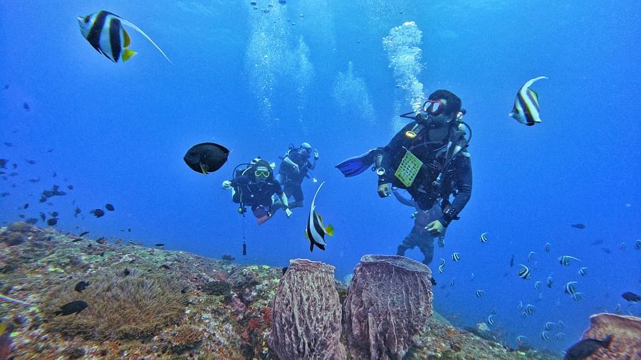 Scuba diving with beautiful under water beauty 