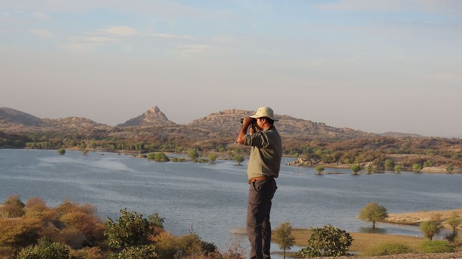 A person looking at landscapes through binoculours - clarks safari jawai