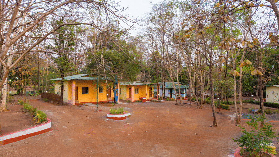 Resort pathway view with red sandy walkway leading to yellow and white cottages, lined with dry trees under a bright daytime sky.