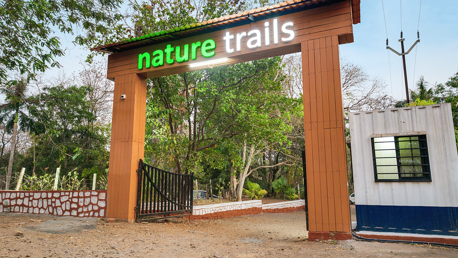 Front view of Nature Trails resort entrance gate with green illuminated signage, wooden arch, stone boundary wall, and trees on either side.
