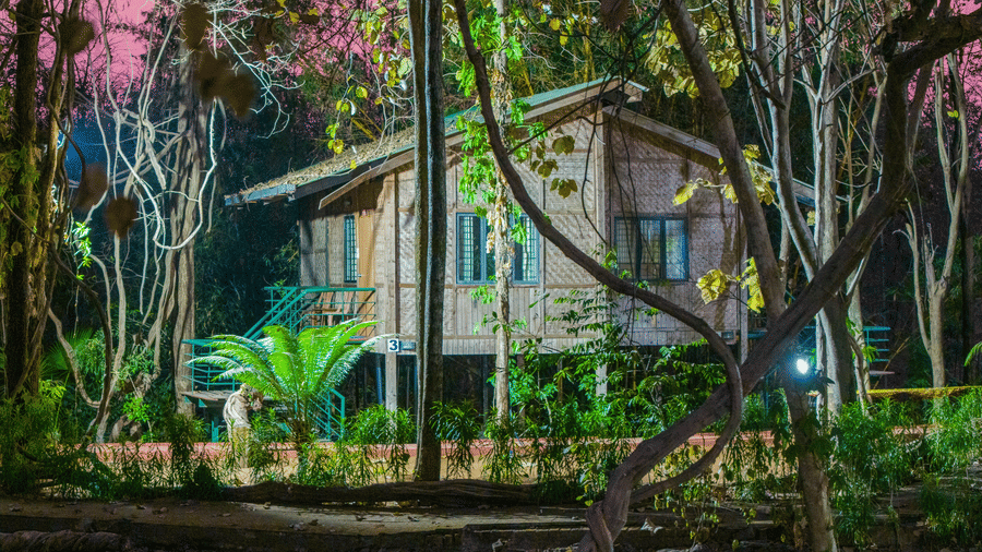 Night-time exterior view of Nature Trails Sajan resort cabin nestled among tall trees with pink-toned sky, lush foliage, and warm lit structure.