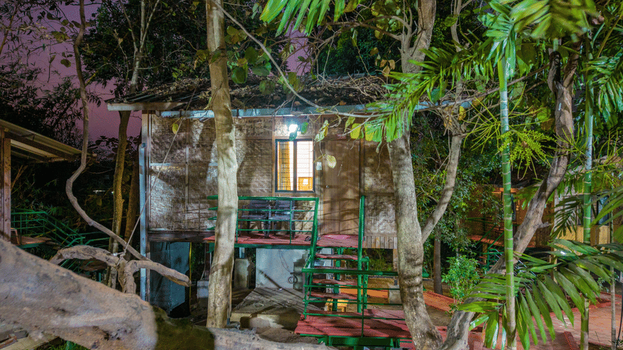 Night-time resort exterior with warm lights illuminating trees, green foliage, and a cosy cabin structure visible through dense natural surroundings.