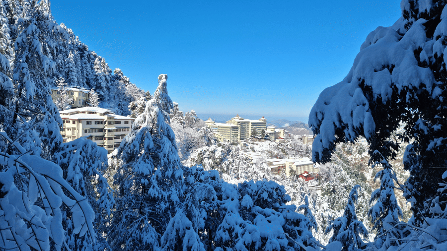 A snowy mountain landscape on a sunny day with snow-laden trees in the foreground framing a view of a snow-covered town in the valley below.