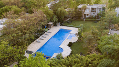Outdoor swimming pool surrounded by lush green trees at The Golden Tusk, Jim Corbett