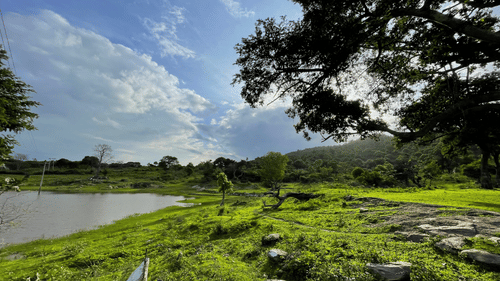 A peaceful lakeside scene with bright green grass, scattered rocks and trees, and forested hills under a partly cloudy sky with sunlight filtering through.