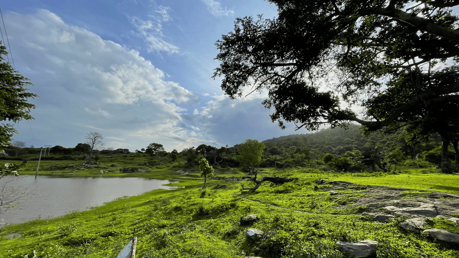 A peaceful lakeside scene with bright green grass, scattered rocks and trees, and forested hills under a partly cloudy sky with sunlight filtering through.