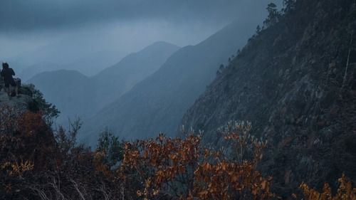 A view of a valley with bushes in the foreground and mountain ranges in the background