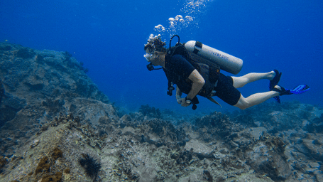 Scuba diving in crystal-clear waters with coral reefs and marine life, offering a thrilling underwater experience at Alibu Resort.