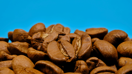 A close up of roasted and cracked coffee beans on top of each other with a blue background. Blue Mountain Coffee is one of the best souvenir from Jamaica to buy on your trip.