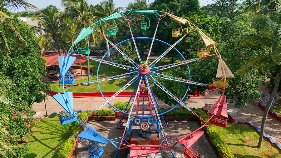 A giant wheel set amidst the trees and a lawn at MGM Dizzee World