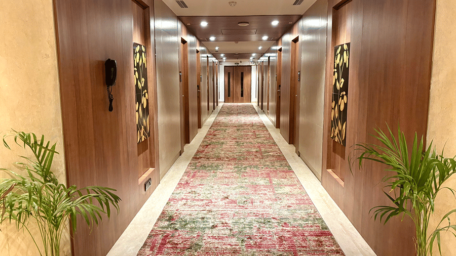 Well-lit and carpeted hallway leading to multiple doorways with potted plants in the entry at Senses hotel