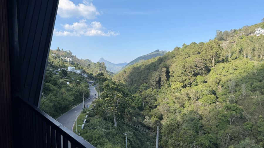 IMG 7593