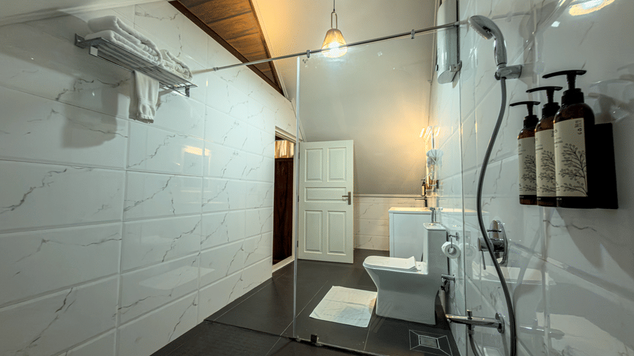 The bathroom in the Tagore Suite at The Heritage Club Tripura Castle Hotel and Spa, Shillong, features a glass shower stall and tiled walls with sleek fixtures.