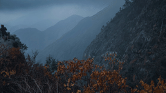 A view of a valley with bushes in the foreground and mountain ranges in the background